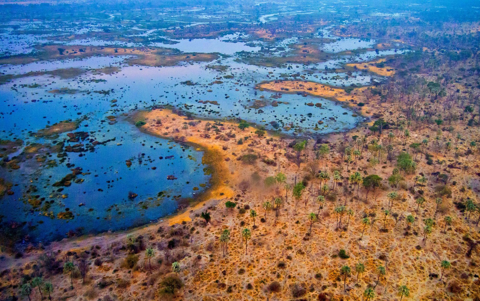 Sonnenuntergangs-Bootsfahrt